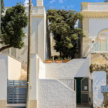 بيت للعطل Il Pittosforo By Casa Di Marco Ap16