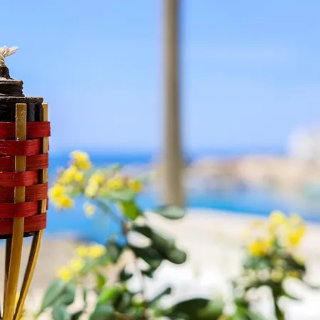 Il Pittosforo By Casa Di Marco Holiday home